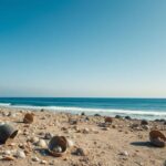 Sambaquis do litoral brasileiro: 'cidades de conchas' e seu legado