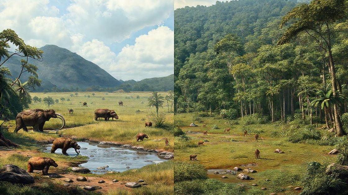  A extinção da megafauna e suas relações com o clima
