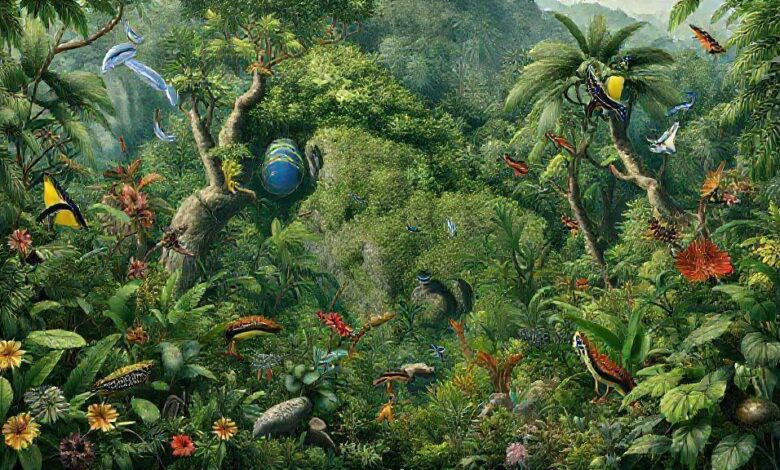 O Brasil natural em 1500: fauna, flora e ecossistemas
