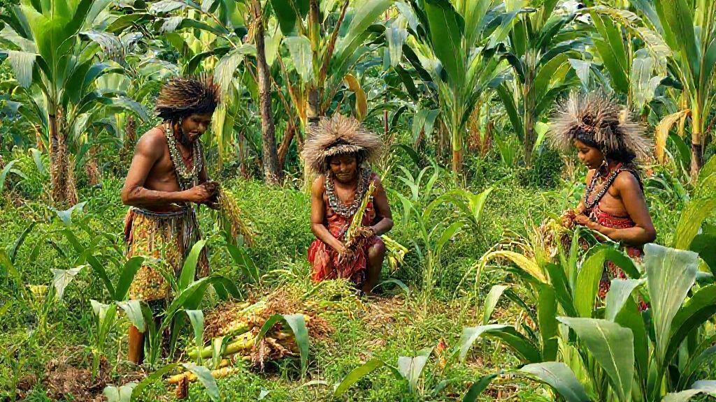  O desenvolvimento da agricultura e a domesticação de plantas nativas